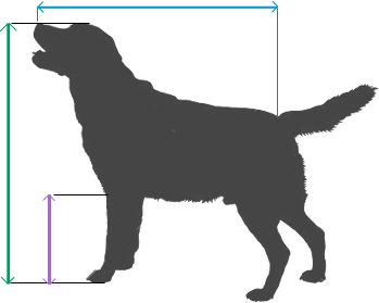 Dog & Cat Pet Travel Crate Size Calculator - Jetpets NZ